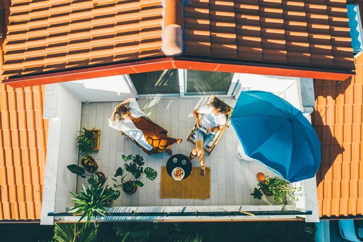 Plantas decorativas de interior de todo tipo en una terraza urbana