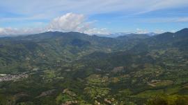 Un Oriente antioqueño verde y florecido 