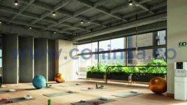 Imagen ilustrativa del salón de yoga y baile en Civita.