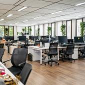 Interior de oficina Coninsa